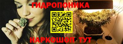 ГАЛЛЮЦИНОГЕННЫЕ ГРИБЫ Свободный
