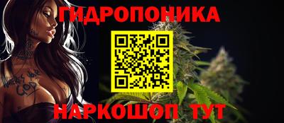ГАЛЛЮЦИНОГЕННЫЕ ГРИБЫ Свободный